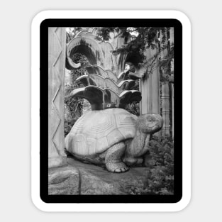 Bronx Turtle - BW Sticker